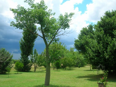 ESPERANDO LA TORMENTA